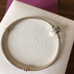 Pandora Bracelet
